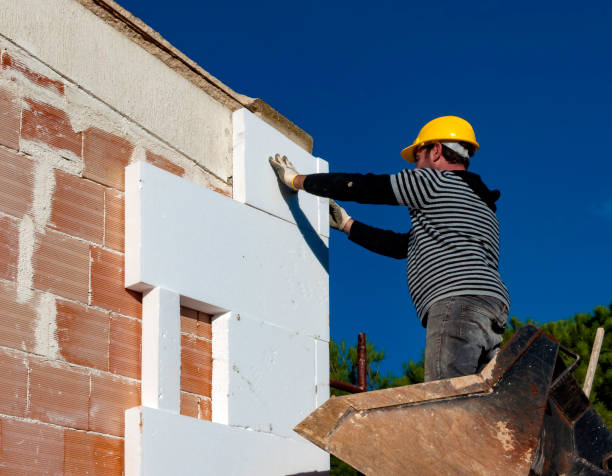 Best Local Insulation Services  in Hooks, TX