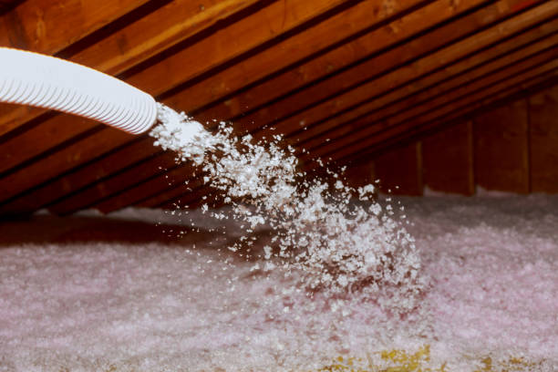Best Fiberglass Insulation  in Hooks, TX
