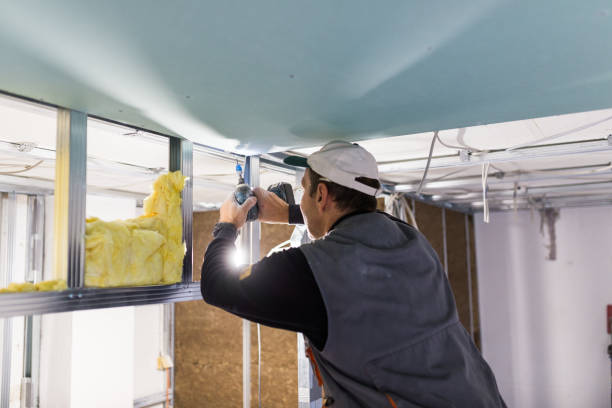 Best Insulation Replacement Services  in Hooks, TX