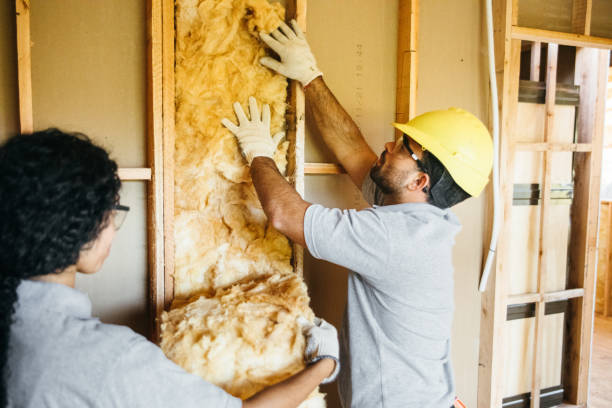 Best Spray Foam Insulation  in Hooks, TX