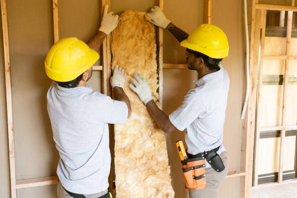 Best Insulation for New Construction  in Hooks, TX