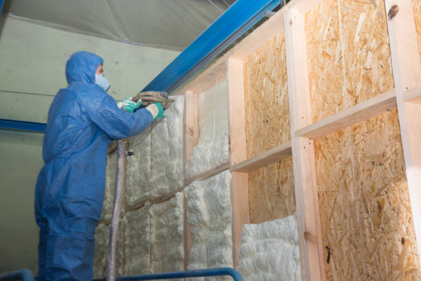 Best Attic Insulation Installation  in Hooks, TX