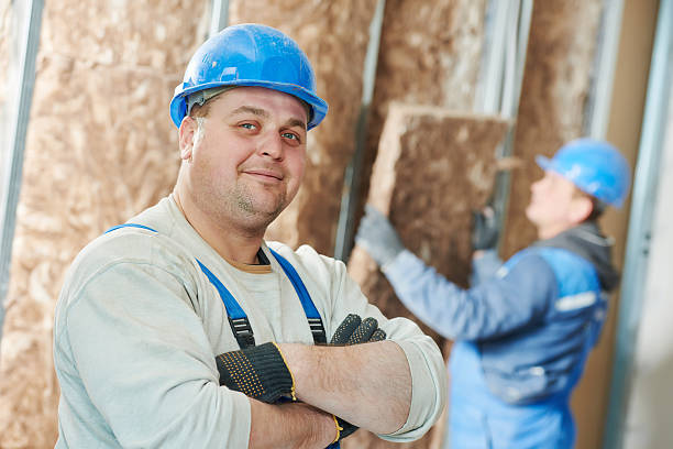 Best Insulation Replacement Services  in Hooks, TX