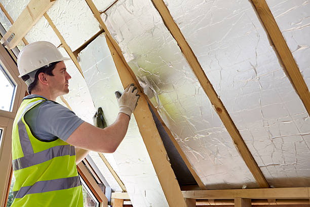 Best Affordable Insulation Services  in Hooks, TX