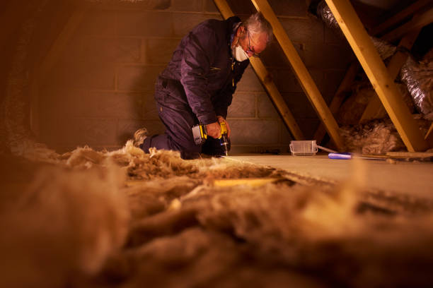 Insulation Replacement Services in Hooks, TX