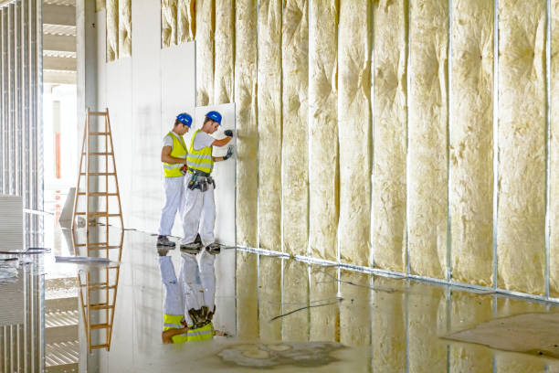 Best Residential Insulation Services  in Hooks, TX